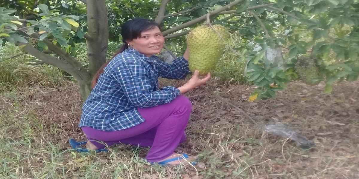 What is a Climate Smart Livelihood model ?